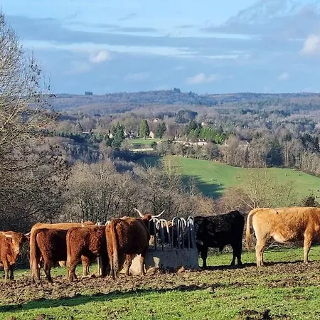 Gite Les Nouvelles Filles De La Campagne Jumilhac-le-Grand Exterior foto
