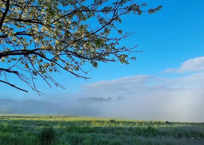 Gite Familial Au Calme Au Coeur Du Perigord Vert