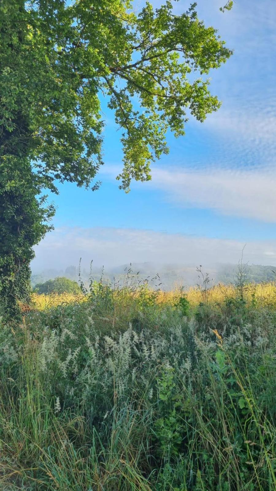 Familial Au Calme Au Coeur Du Perigord *