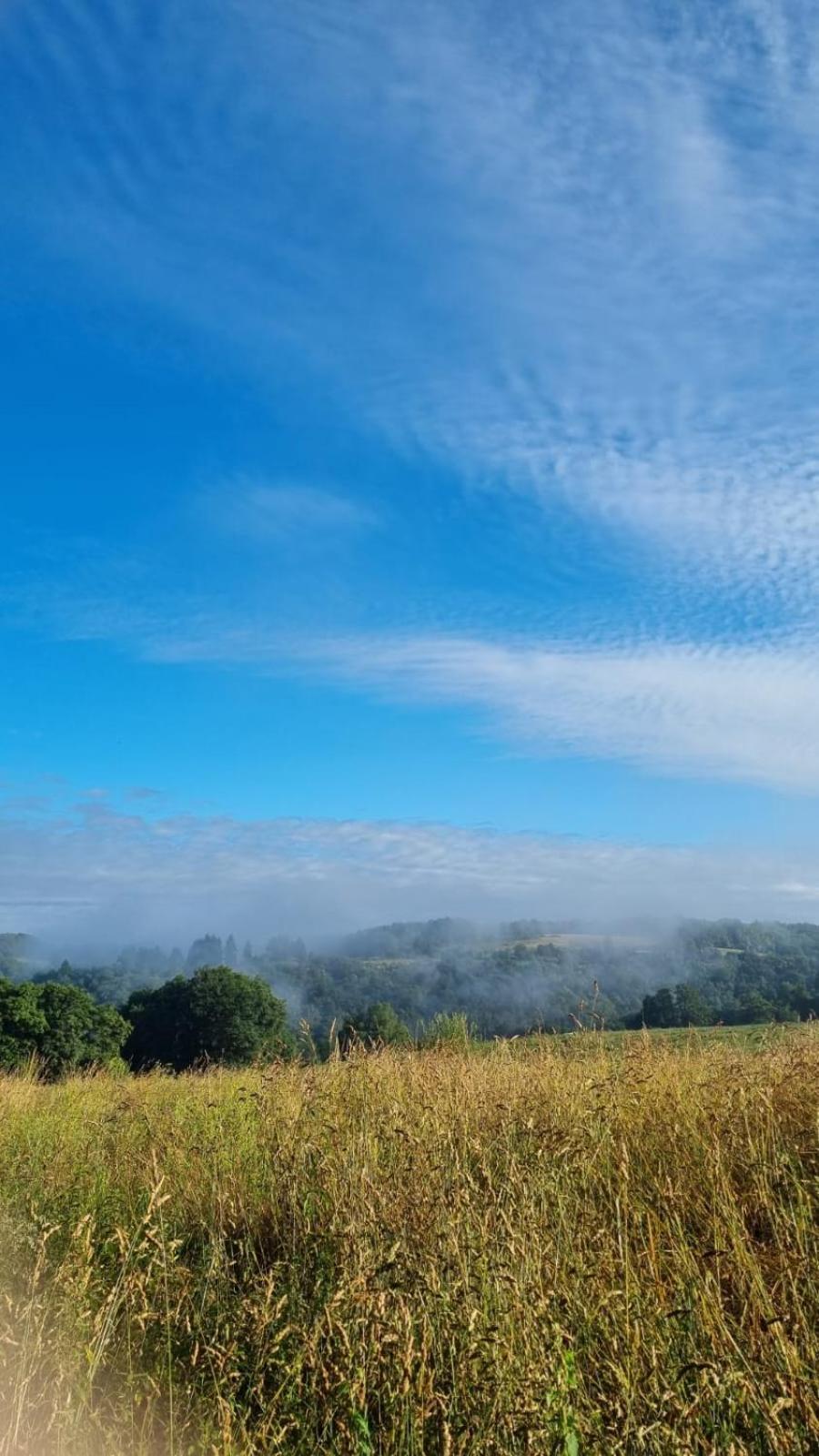 Familial Au Calme Au Coeur Du Perigord