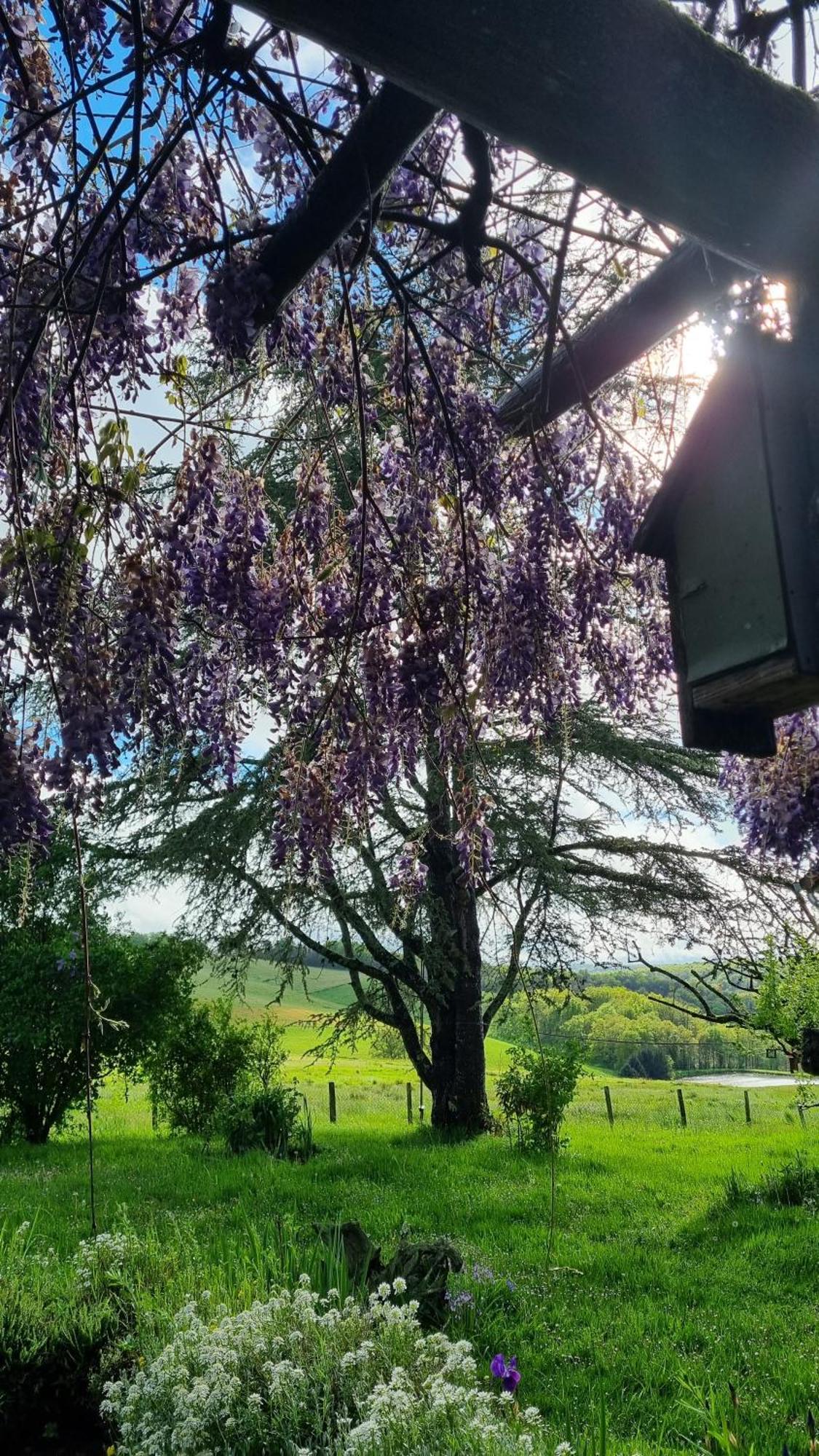 Familial Au Calme Au Coeur Du Perigord Jumilhac-le-Grand
