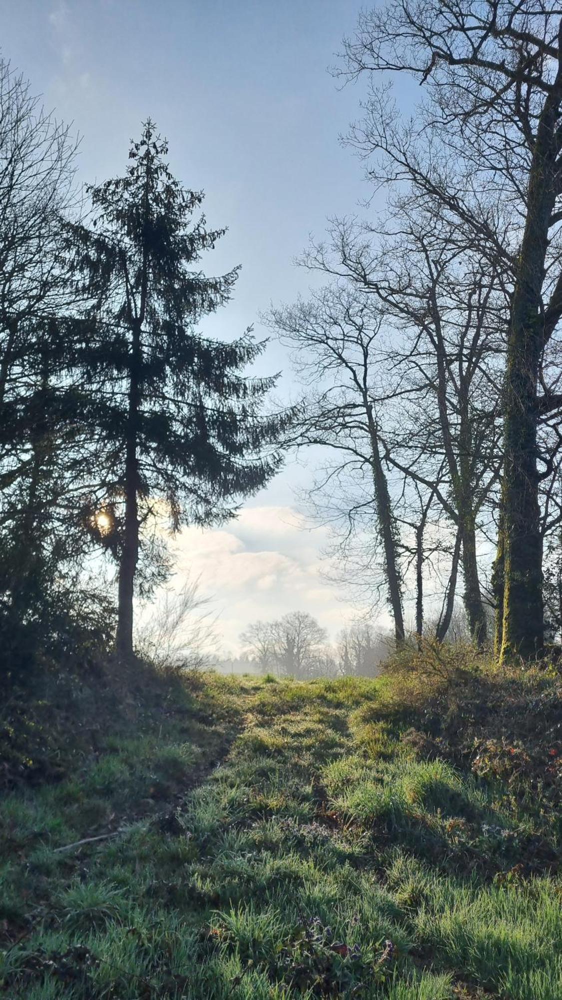 Familial Au Calme Au Coeur Du Perigord *
